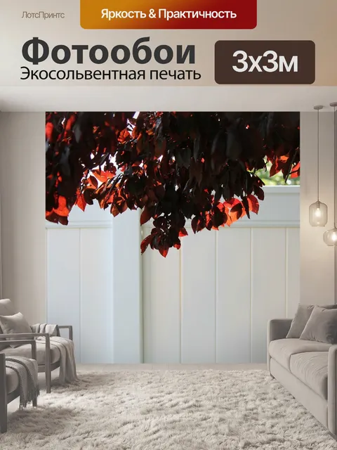 Фотообои Цветущее сливовое дерево