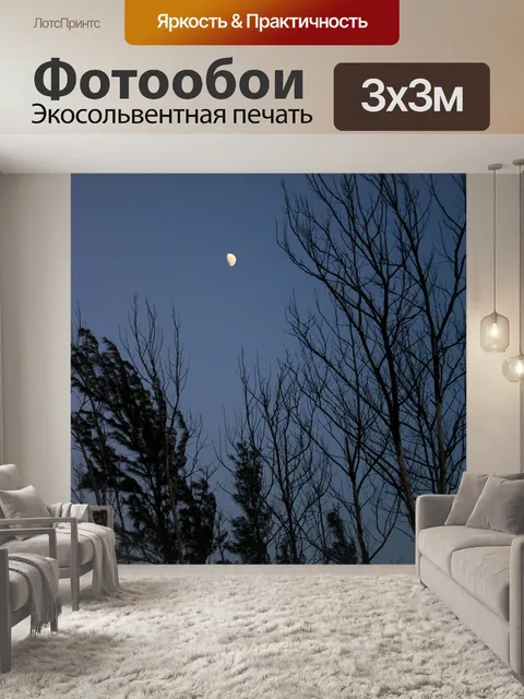 Фотообои Ночь