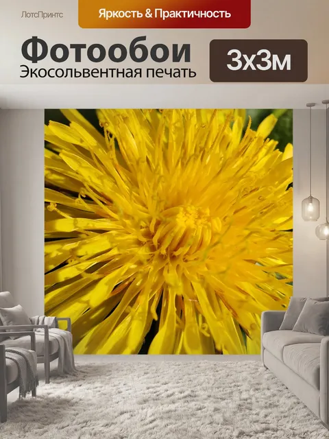 Фотообои Одуванчик