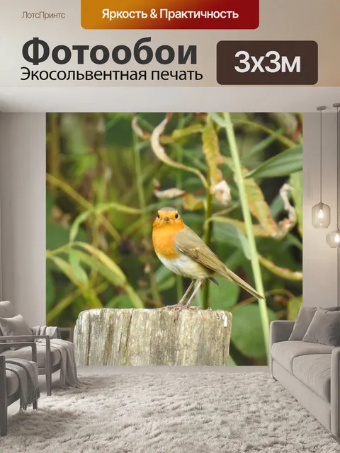 Фотообои Птицы