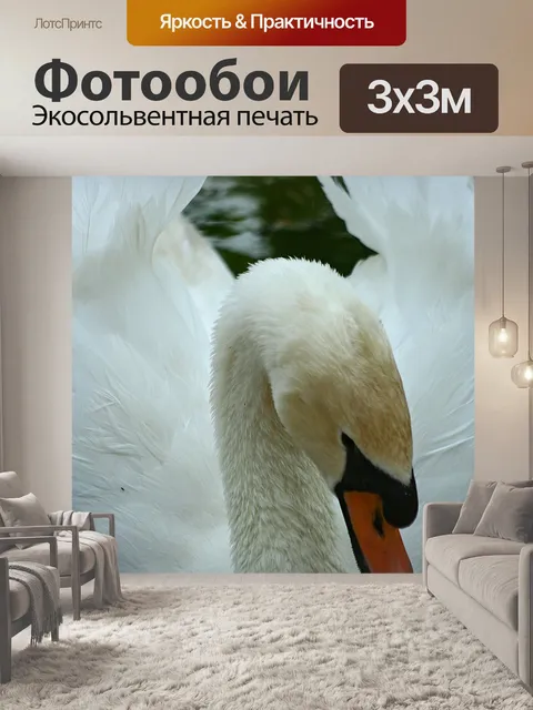Фотообои Лебедь