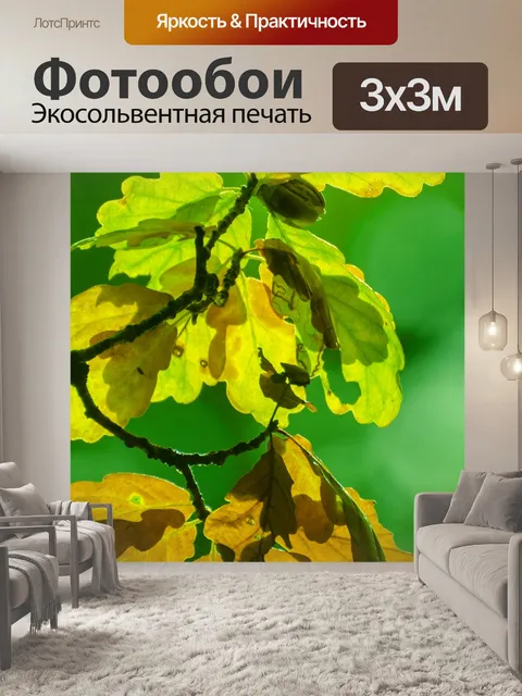 Фотообои Осенние листья