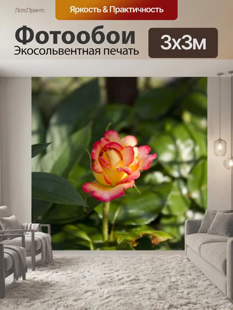 Фотообои Цветы