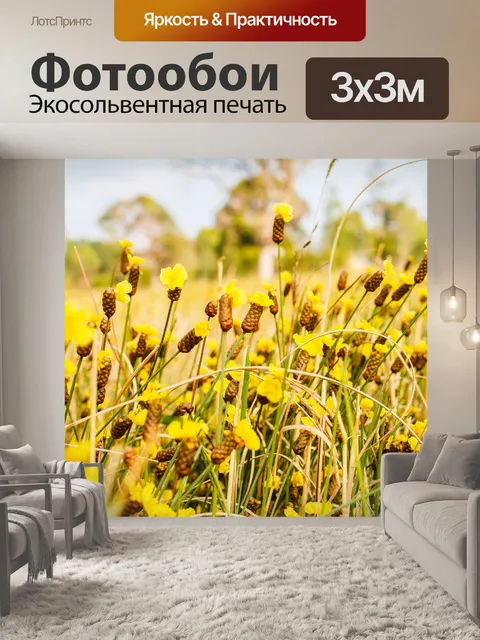 Фотообои фон маленький полевой цветок