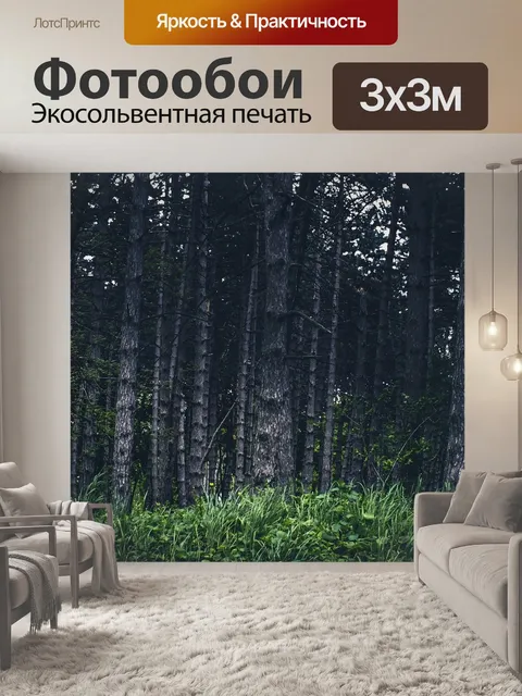 Фотообои Лесной массив