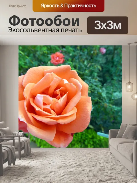 Фотообои Оранжевые розы