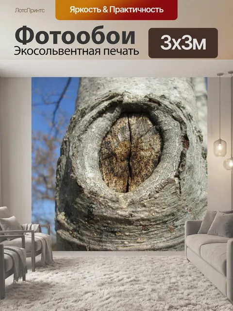 Фотообои Дерево Часть Макро 13