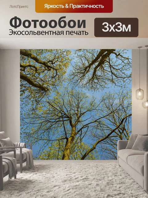 Фотообои Деревья