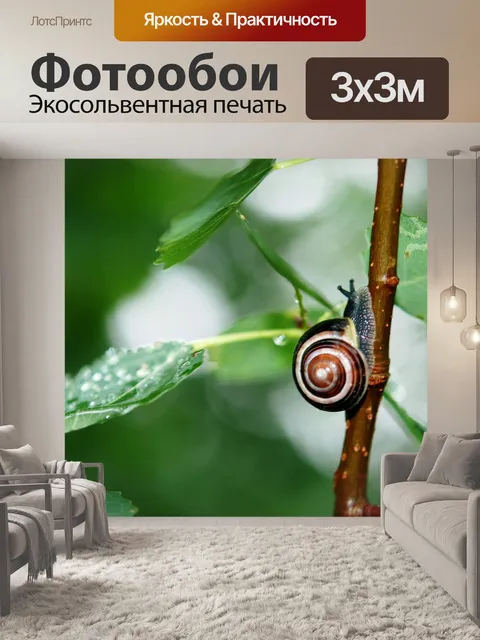 Фотообои Улитка