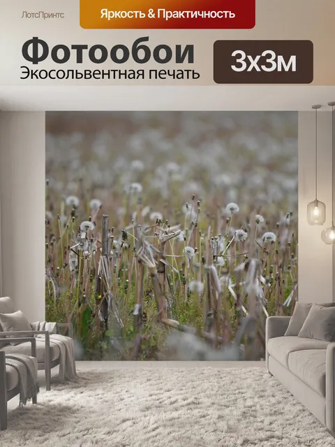 Фотообои Поле