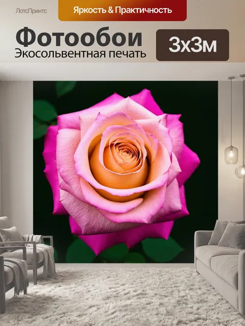 Фотообои розы в стиле минимализм