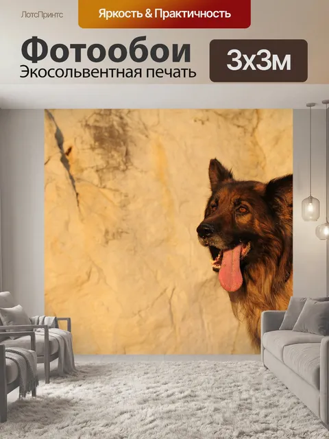 Фотообои Собака