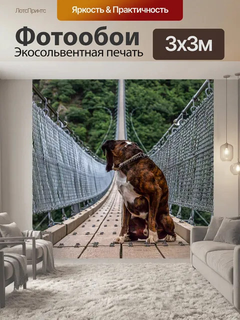 Фотообои Пешеходный мост