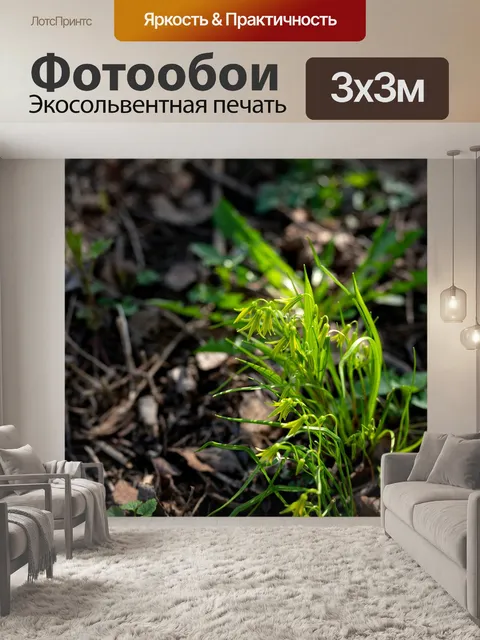 Фотообои Цветы