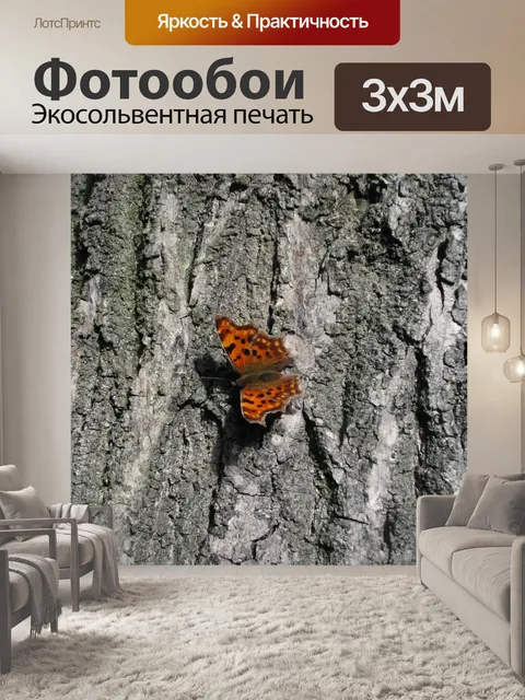 Фотообои Бабочка