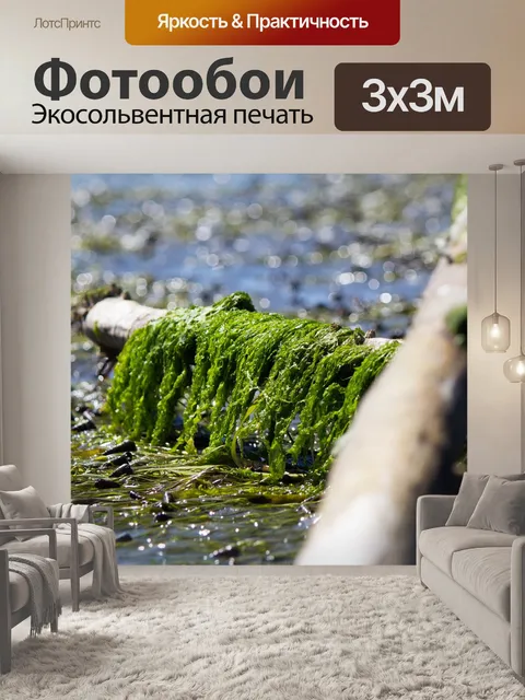 Фотообои Вода
