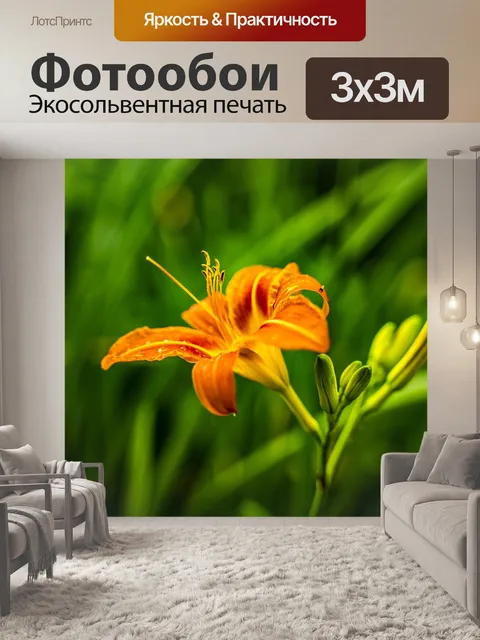 Фотообои Лист