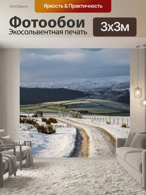 Фотообои Зимний путь