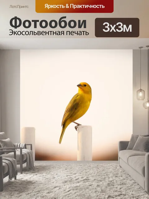 Фотообои Птица