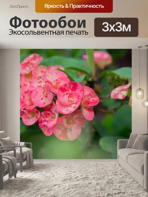 Фотообои Листья