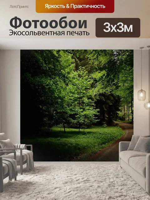 Фотообои Лесная тропа