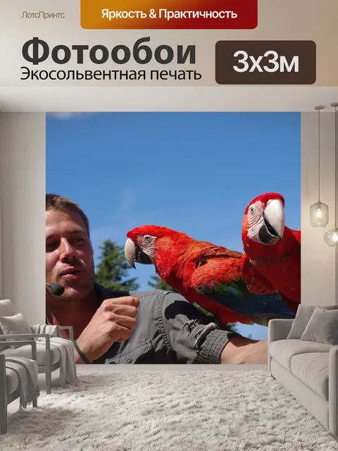 Фотообои Птицы
