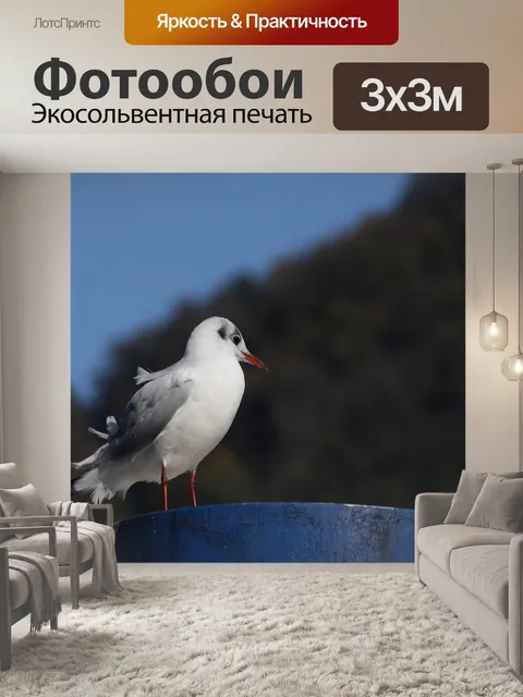 Фотообои Природа
