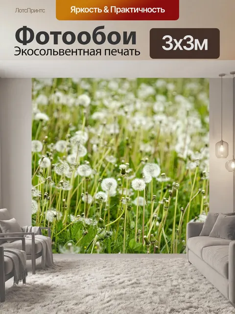Фотообои Одуванчик