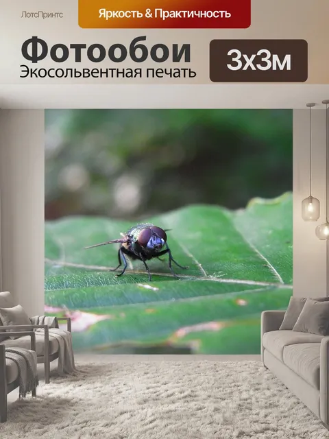 Фотообои Летать
