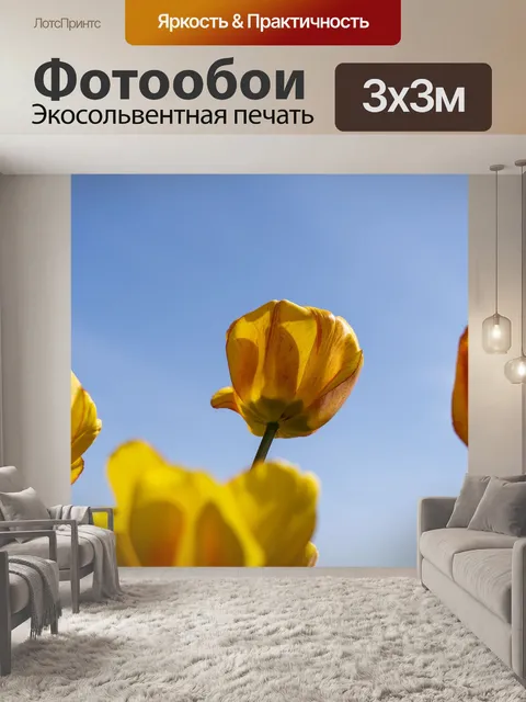 Фотообои Тюльпан