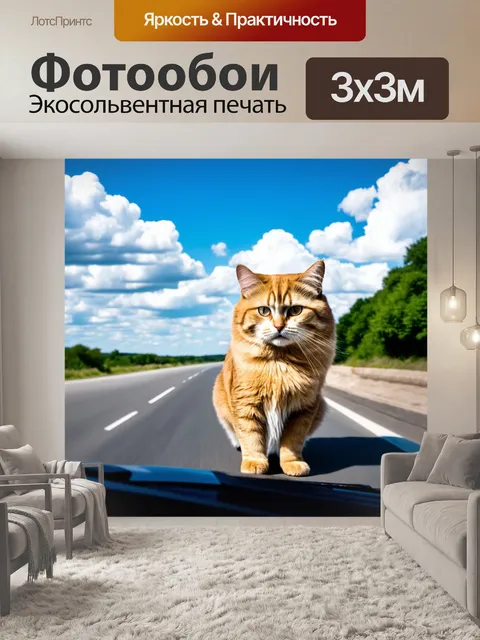 Фотообои кот, на трассе с пушистыми облаками в небе