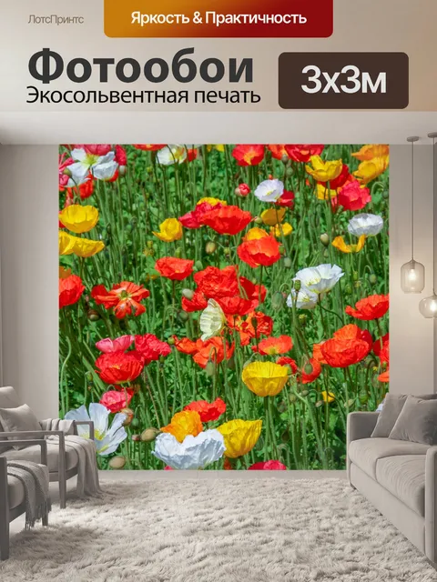 Фотообои Красные и желтые маки на лугу