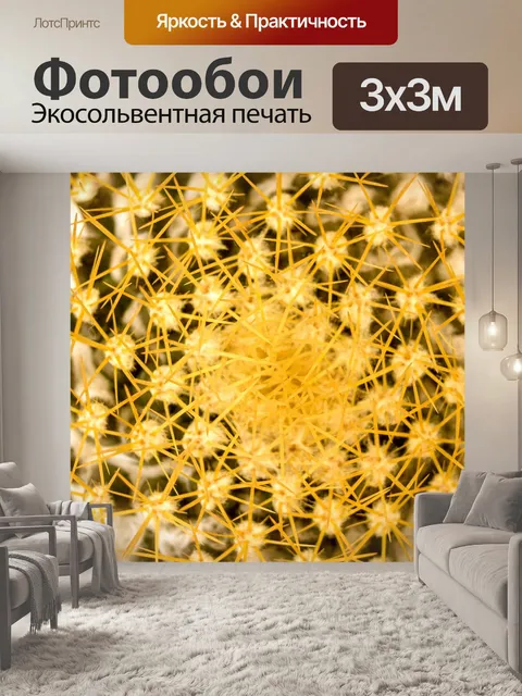 Фотообои Кактус пустынное растение