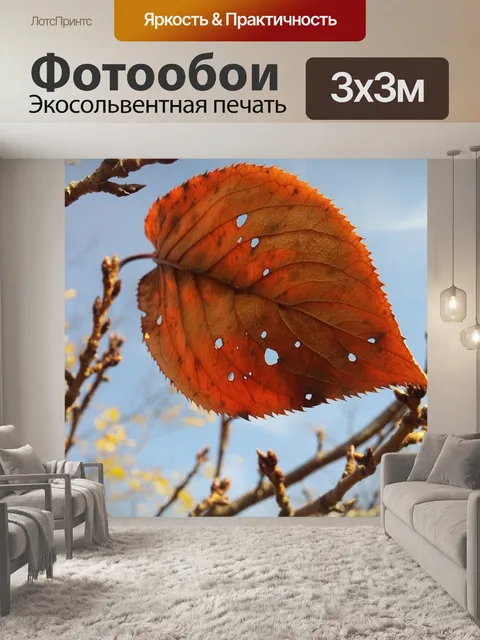Фотообои Падение