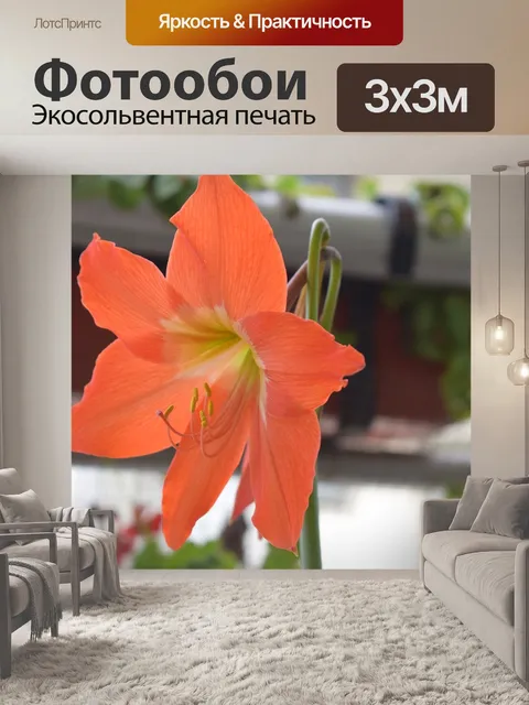 Фотообои Amaryllis
