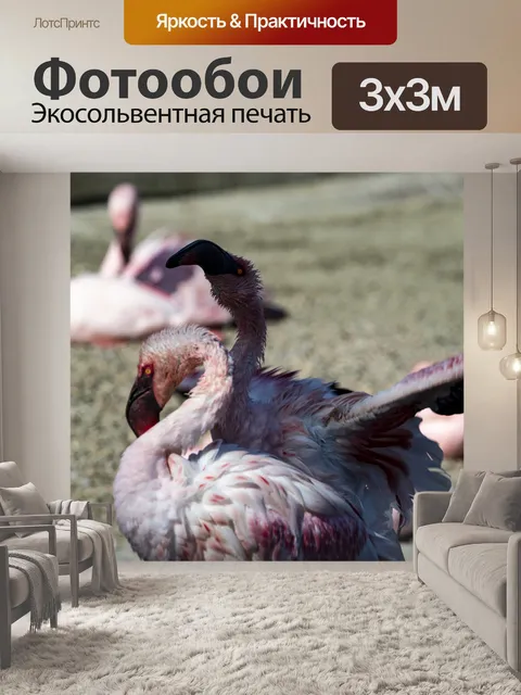Фотообои розовый фламинго