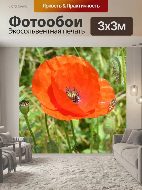 Фотообои Поля