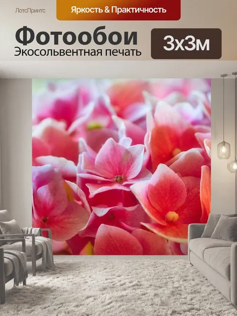 Фотообои Гортензии