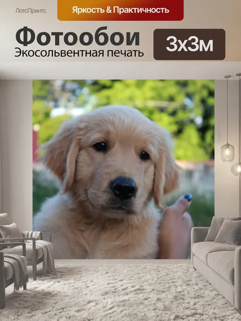 Фотообои Щенок