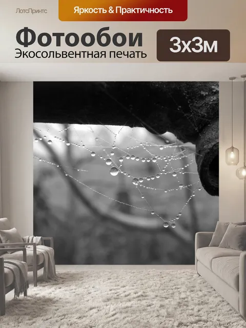 Фотообои Падение