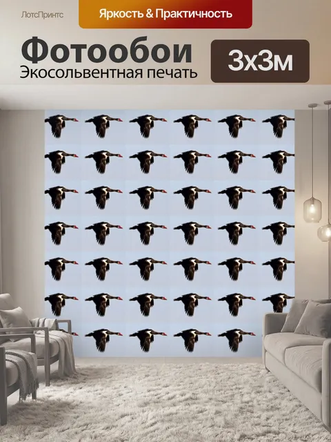 Фотообои обои птицы в полете