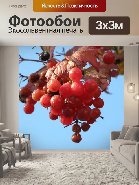 Фотообои Калина