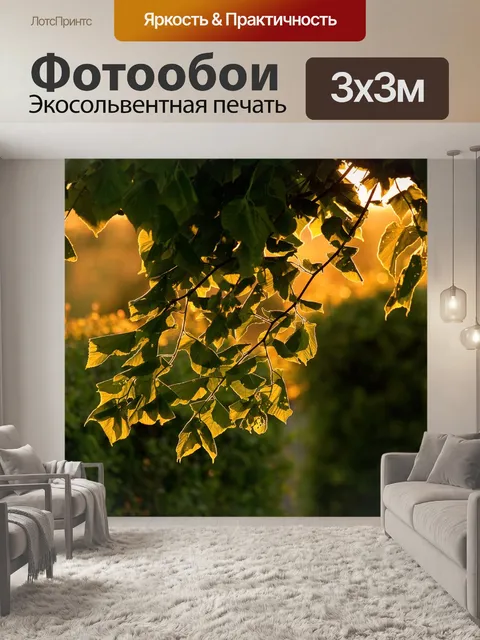 Фотообои Листья