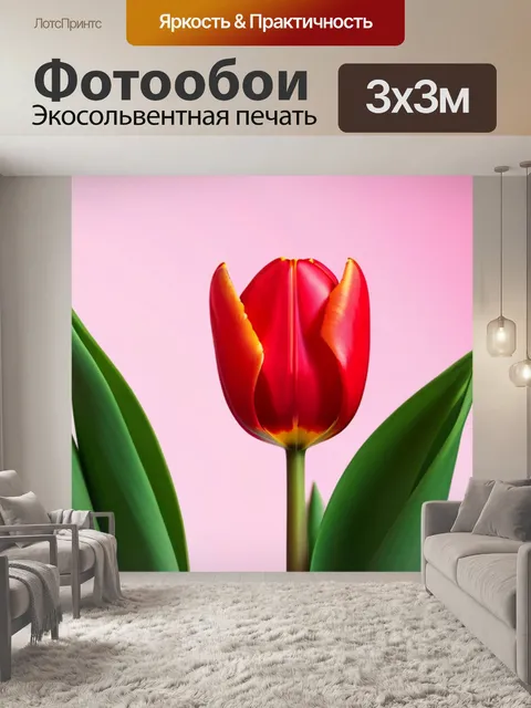 Фотообои тюльпаны в стиле минимализма