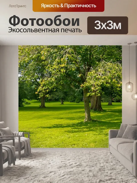 Фотообои Деревья