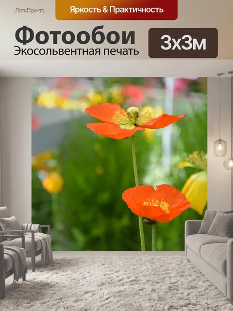Фотообои Цветы