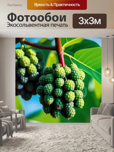 Фотообои дерево нони с фруктами в процессе роста