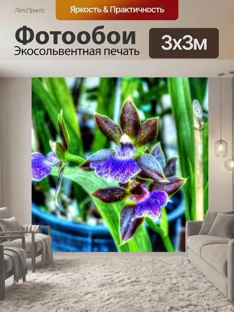 Фотообои Фиолетовые орхидеи
