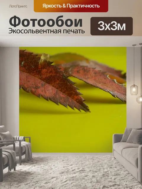 Фотообои Осень