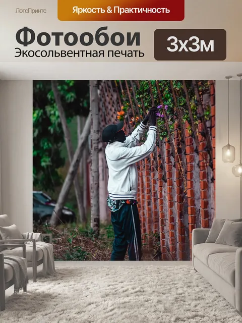 Фотообои Роза